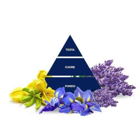 Felce Azzurra Lavanda e Iris Żel Pochłaniający Zapach 140 g Felce Azzurra Lavanda e Iris Żel Pochłaniający Zapach 140 g