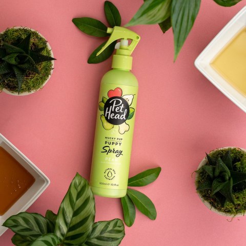 Dezodorant w Sprayu Pet Head Mucky Pup Pies Gruszka Szczeniak (300 ml) Dezodorant w Sprayu Pet Head Mucky Pup Pies Gruszka Szczeniak (300 ml)